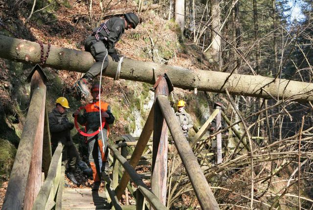 Bildgr&ouml;&szlig;e auf die Monitoraufl&ouml;sung (640x480 px) optimiert