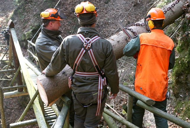 Bildgröße auf die Monitorauflösung (640x480 px) optimiert