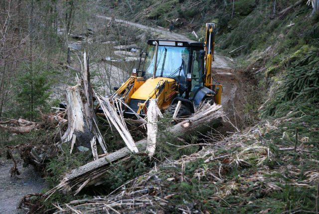 Bildgröße auf die Monitorauflösung (640x480 px) optimiert