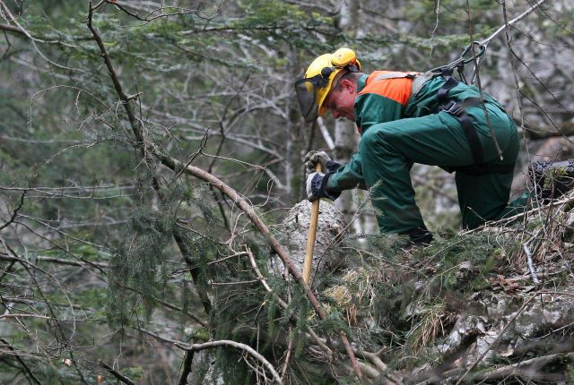 Bildgröße auf die Monitorauflösung (640x480 px) optimiert
