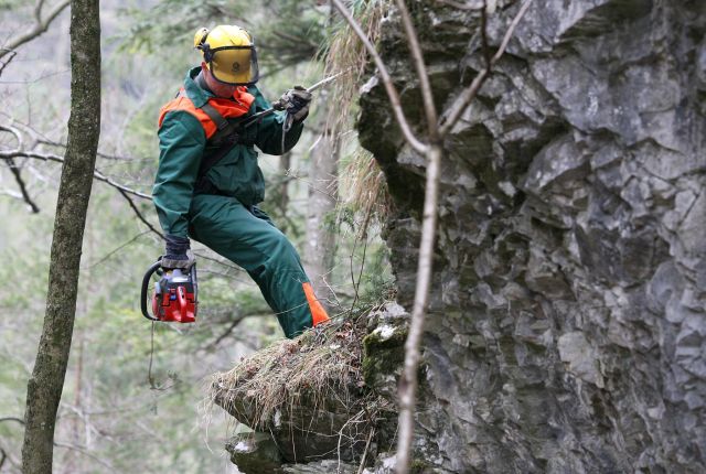 Bildgröße auf die Monitorauflösung (640x480 px) optimiert