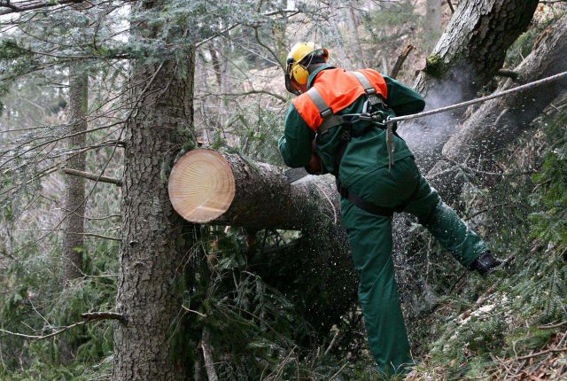 Bildgröße auf die Monitorauflösung (640x480 px) optimiert