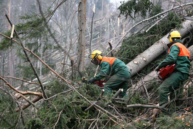 Bildgröße auf die Monitorauflösung (640x480 px) optimiert