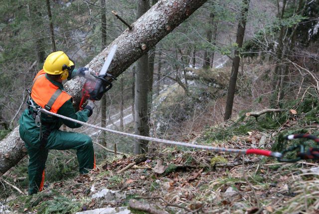 Bildgröße auf die Monitorauflösung (640x480 px) optimiert