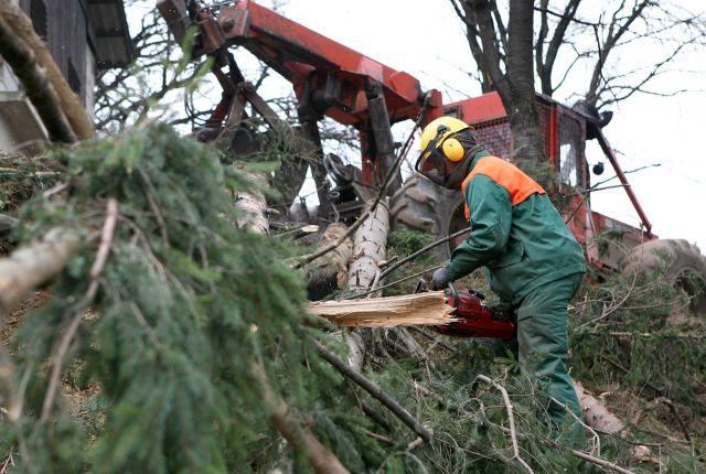 Bildgröße auf die Monitorauflösung (640x480 px) optimiert