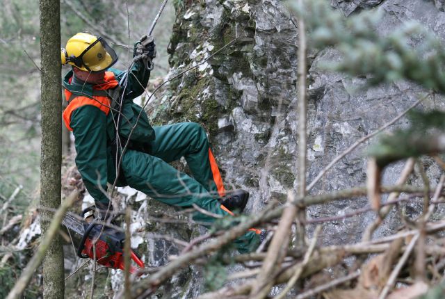 Bildgröße auf die Monitorauflösung (640x480 px) optimiert