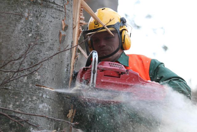 Bildgröße auf die Monitorauflösung (640x480 px) optimiert