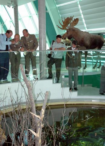 Bildgr&ouml;&szlig;e auf die Monitoraufl&ouml;sung (640x480 px) optimiert