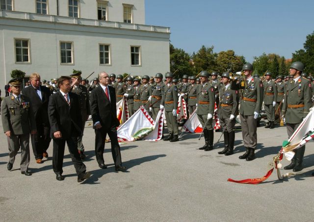 Bildgröße auf die Monitorauflösung (640x480 px) optimiert