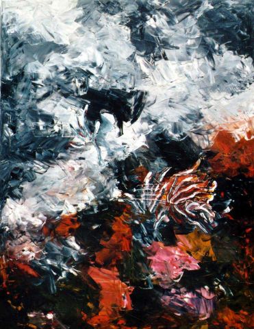 Bildgröße auf die Monitorauflösung (640x480 px) optimiert