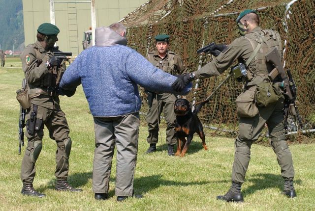 Bildgröße auf die Monitorauflösung (640x480 px) optimiert