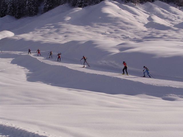 Bildgröße auf die Monitorauflösung (640x480 px) optimiert