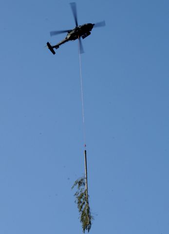 Bildgröße auf die Monitorauflösung (640x480 px) optimiert