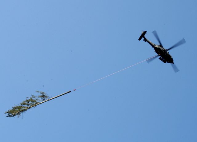 Bildgr&ouml;&szlig;e auf die Monitoraufl&ouml;sung (640x480 px) optimiert