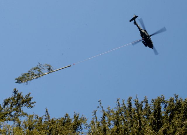 Bildgröße auf die Monitorauflösung (640x480 px) optimiert