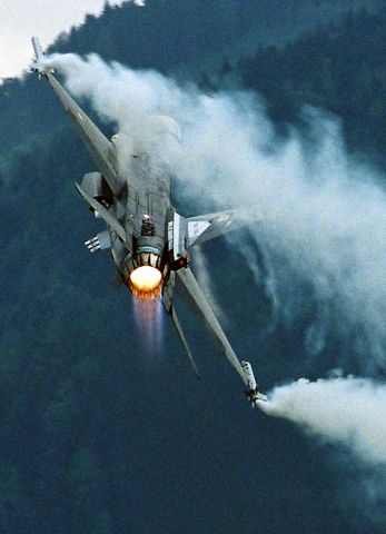 Bildgröße auf die Monitorauflösung (640x480 px) optimiert