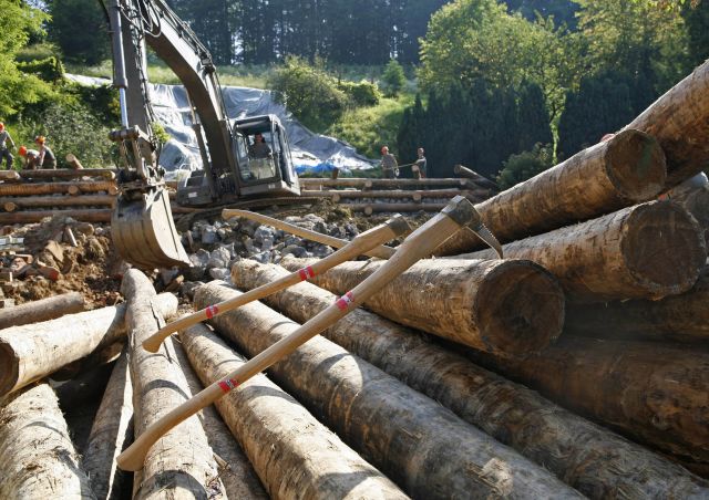 Bildgr&ouml;&szlig;e auf die Monitoraufl&ouml;sung (640x480 px) optimiert