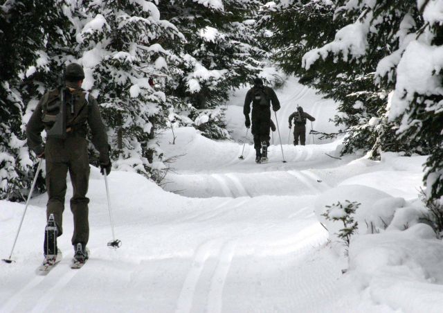 Bildgr&ouml;&szlig;e auf die Monitoraufl&ouml;sung (640x480 px) optimiert