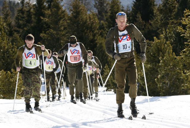 Bildgröße auf die Monitorauflösung (640x480 px) optimiert