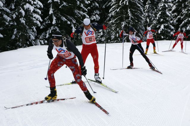 Bildgröße auf die Monitorauflösung (640x480 px) optimiert