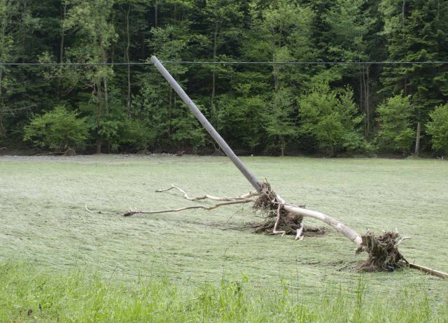 Bildgröße auf die Monitorauflösung (640x480 px) optimiert