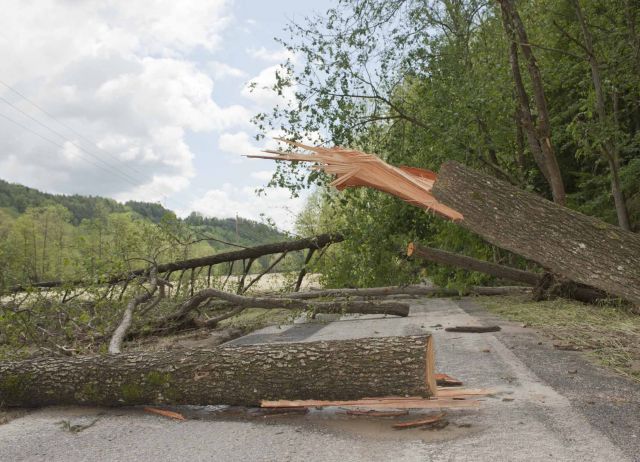 Bildname: bundesheer_filz_007.jpg, momentane Bildgröße: 640x462 px Bildgröße auf die Monitorauflösung (640x480 px) optimiert