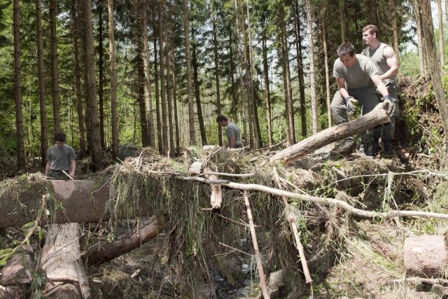 Bildgröße auf die Monitorauflösung (640x480 px) optimiert