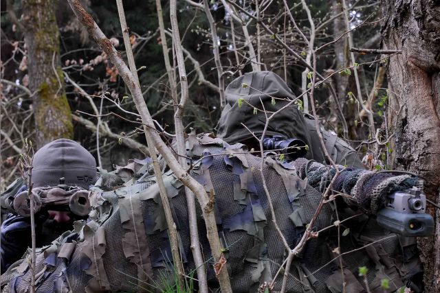 Bildgr&ouml;&szlig;e auf die Monitoraufl&ouml;sung (640x480 px) optimiert