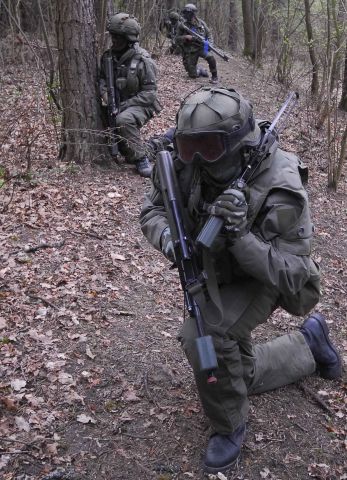 Bildgr&ouml;&szlig;e auf die Monitoraufl&ouml;sung (640x480 px) optimiert