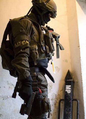 Bildgr&ouml;&szlig;e auf die Monitoraufl&ouml;sung (640x480 px) optimiert