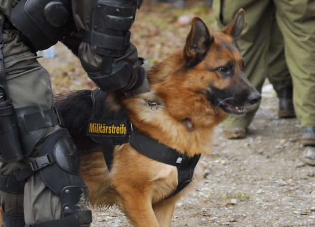 Bildgr&ouml;&szlig;e auf die Monitoraufl&ouml;sung (640x480 px) optimiert