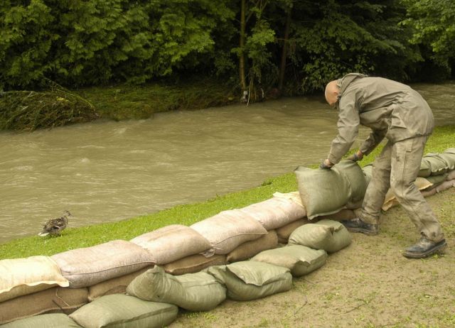 Bildname: bundesheer_wurm_003.jpg, momentane Bildgröße: 640x462 px Bildgröße auf die Monitorauflösung (640x480 px) optimiert