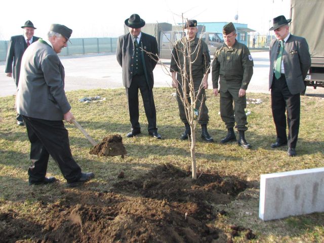 Bildgröße auf die Monitorauflösung (640x480 px) optimiert