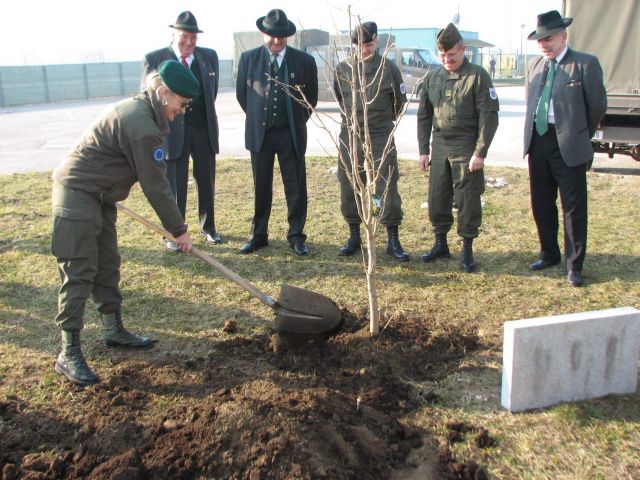 Bildgr&ouml;&szlig;e auf die Monitoraufl&ouml;sung (640x480 px) optimiert