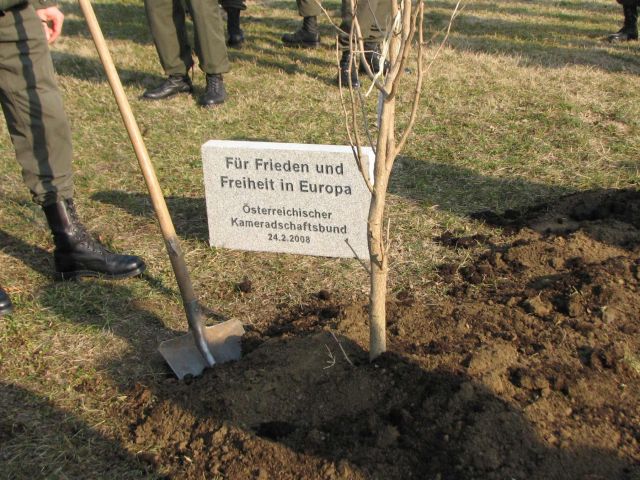 Bildgröße auf die Monitorauflösung (640x480 px) optimiert