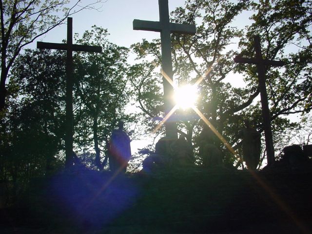 Bildgröße auf die Monitorauflösung (640x480 px) optimiert