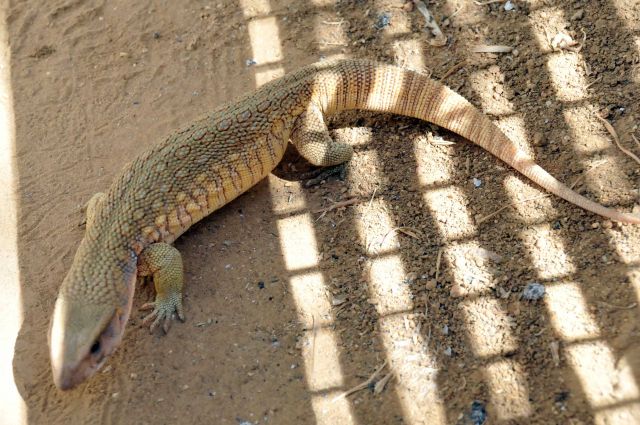 Bildgröße auf die Monitorauflösung (640x480 px) optimiert