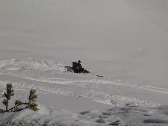 Bildgröße auf die Monitorauflösung (640x480 px) optimiert