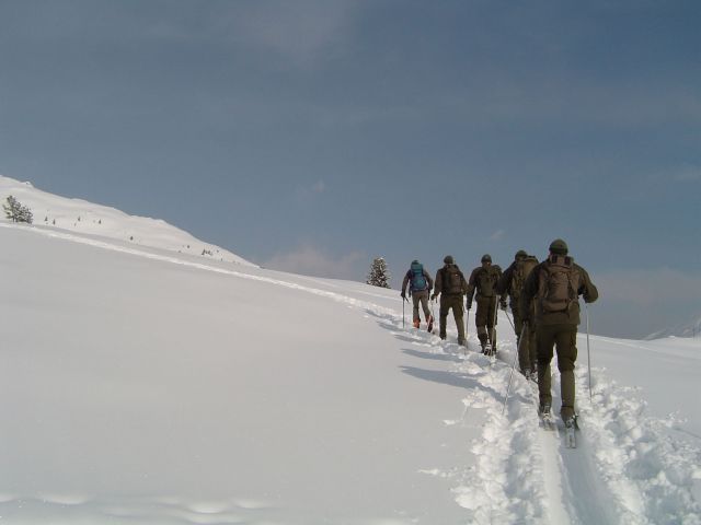 Bildgröße auf die Monitorauflösung (640x480 px) optimiert