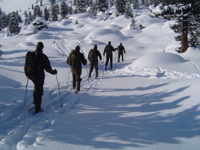 Bildgröße auf die Monitorauflösung (640x480 px) optimiert