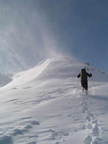 Bildgröße auf die Monitorauflösung (640x480 px) optimiert