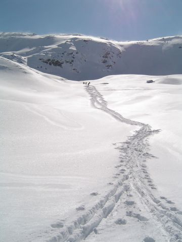 Bildgröße auf die Monitorauflösung (640x480 px) optimiert