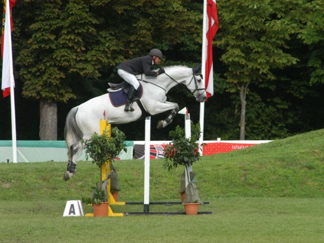 Bildgröße auf die Monitorauflösung (640x480 px) optimiert