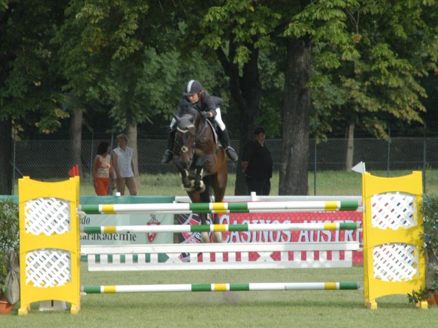 Bildgröße auf die Monitorauflösung (640x480 px) optimiert