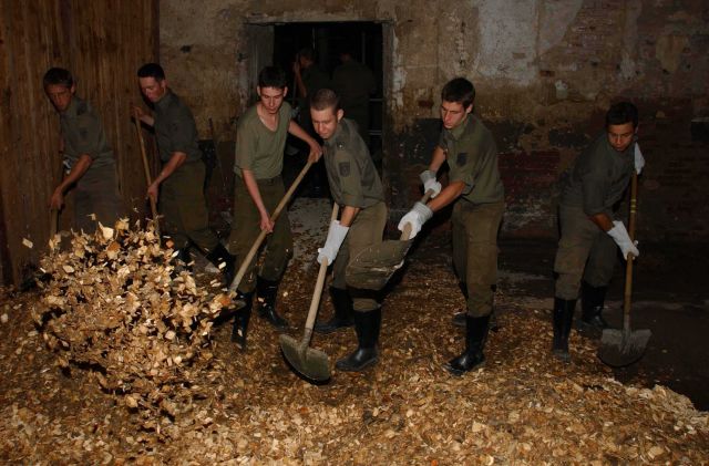 Bildgröße auf die Monitorauflösung (640x480 px) optimiert