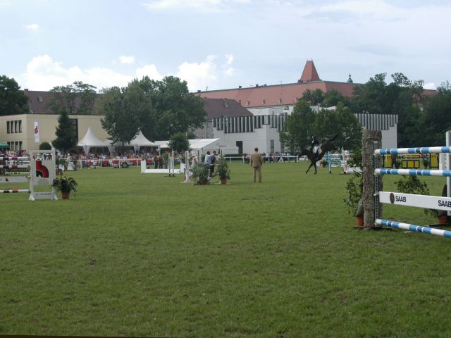 Bildgröße auf die Monitorauflösung (640x480 px) optimiert