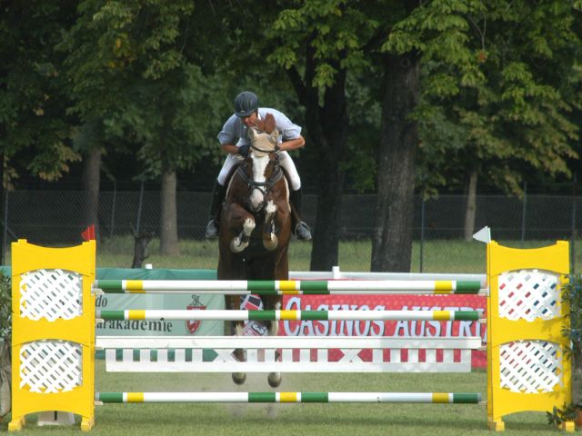 Bildgröße auf die Monitorauflösung (640x480 px) optimiert