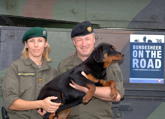 Bildgröße auf die Monitorauflösung (640x480 px) optimiert