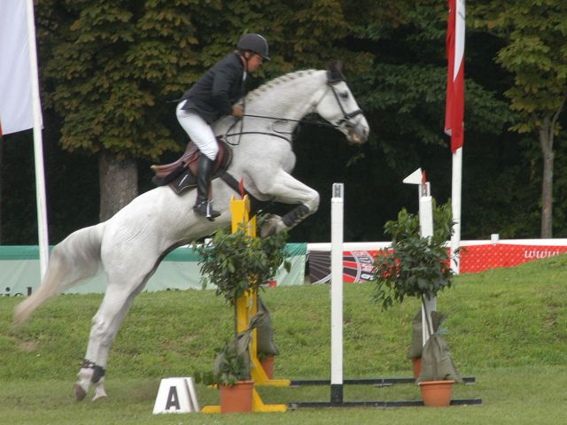 Bildgröße auf die Monitorauflösung (640x480 px) optimiert