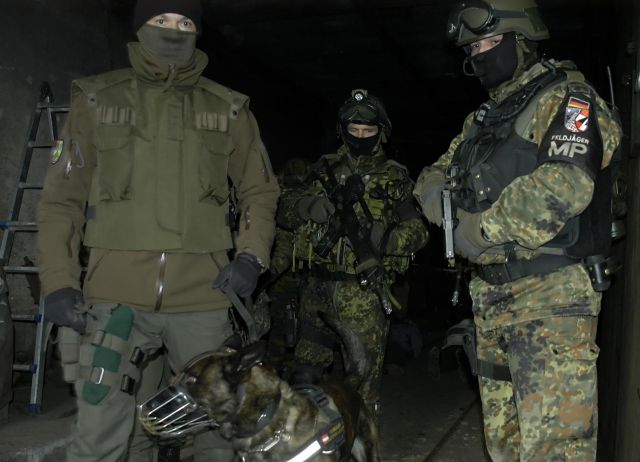 Bildgröße auf die Monitorauflösung (640x480 px) optimiert